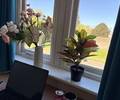 //pic.funliving.com/test_upload/101/20260506151344_399.jpg-apartment.640x480