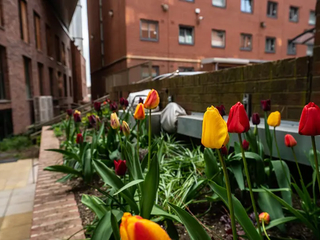 Paradise Student Village