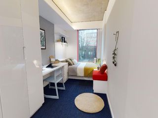 iQ Brighton