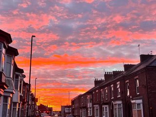 Roker Avenue 