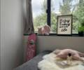 //pic.funliving.com/images/1744252413000-88.png-apartment.640x480