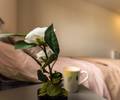 //pic.funliving.com/images/1749634066000-82.jpg-apartment.640x480