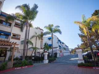 Pines of La Jolla