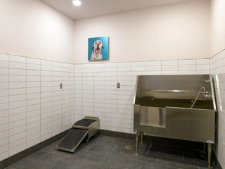 The Standard at New Brunswick