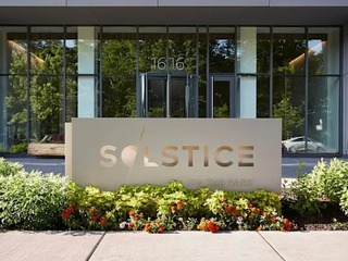 Solstice on the Park